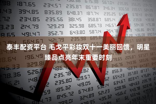 泰丰配资平台 毛戈平彩妆双十一美丽回馈，明星臻品点亮年末重要时刻